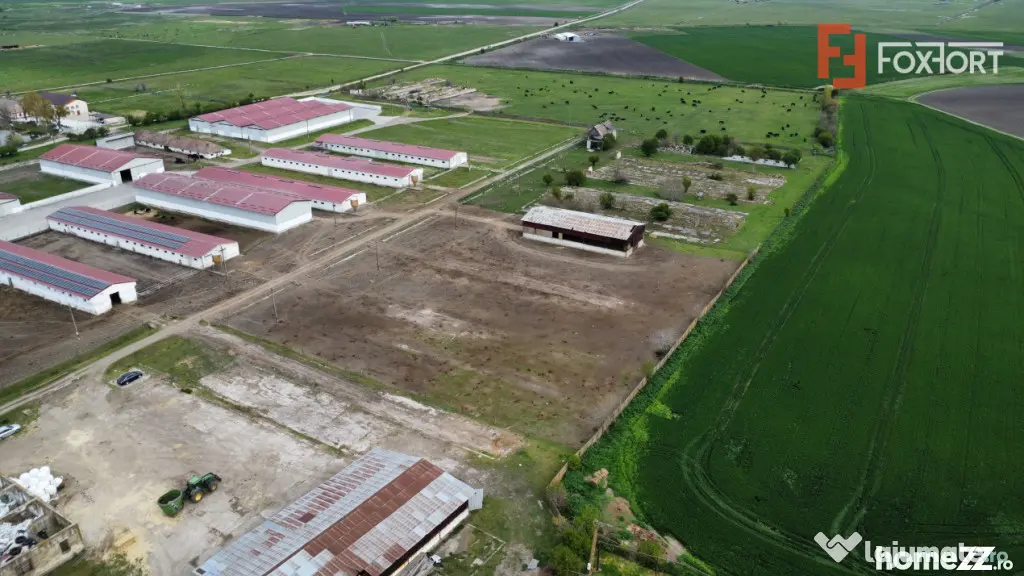 Teren intravilan cu suprafata de 58.340 mp, in Sanmartinul S - Peciu Nou (Timis)