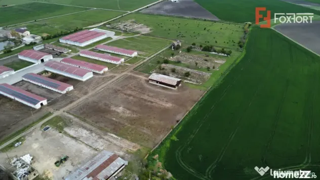 Teren intravilan cu suprafata de 58.340 mp, in Sanmartinul S - Peciu Nou (Timis)