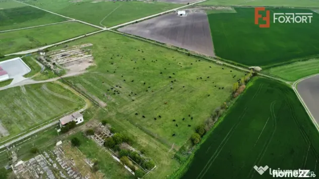 Teren intravilan cu suprafata de 58.340 mp, in Sanmartinul S - Peciu Nou (Timis)