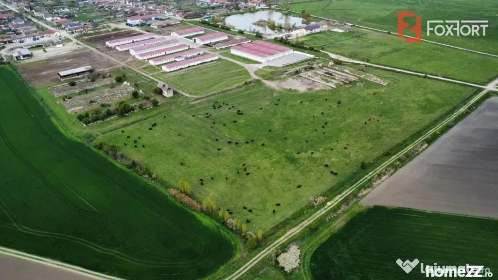 Teren intravilan cu suprafata de 58.340 mp, in Sanmartinul S - Peciu Nou (Timis)