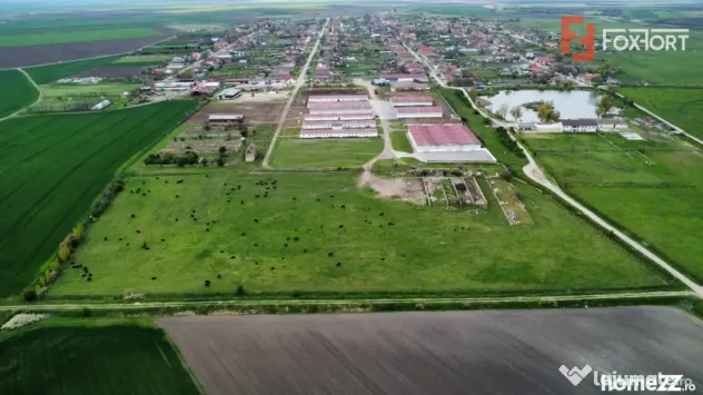 Teren intravilan cu suprafata de 58.340 mp, in Sanmartinul S - Peciu Nou (Timis)