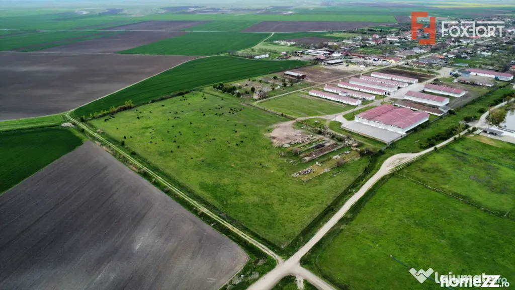 Teren intravilan cu suprafata de 58.340 mp, in Sanmartinul S - Peciu Nou (Timis)
