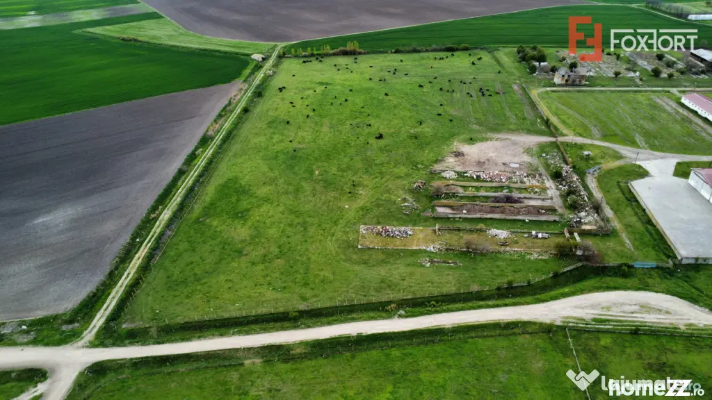 Teren intravilan cu suprafata de 58.340 mp, in Sanmartinul S - Peciu Nou (Timis)