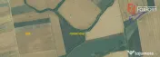 Teren agricol extravilan de vanzare, 2,69 hectare - Jebel Ti