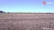 COMISION 0% Teren extravilan 40.000 mp - zona Sanandrei 