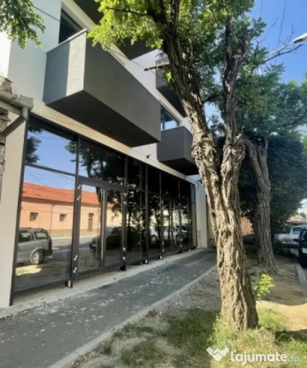 Oportunitate- 2 Etaje a cate 6 studiouri, de inchiriat- ID C - Timisoara (Timis)