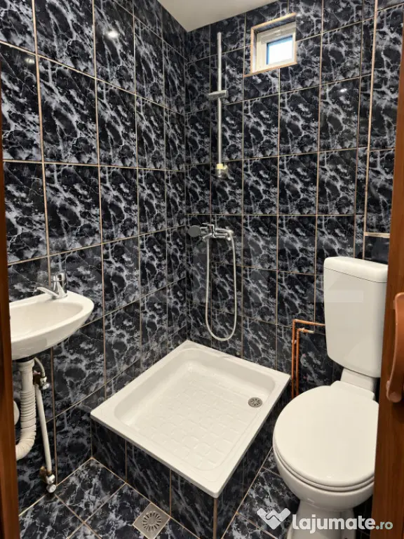 Apartament cu o camera, Etaj 1, Zona Blascovici - Timisoara (Timis)
