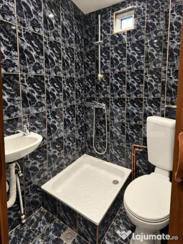 Apartament cu o camera, Etaj 1, Zona Blascovici - Timisoara (Timis)
