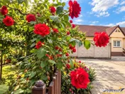 Poveste saseasca la umbra vitei de vie,cu crama,gradina flor 