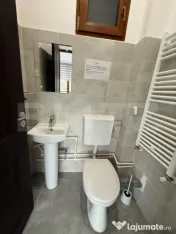 Spațiu comercial 200 mp | Bd. Muncii | Panou publicitar | 5 