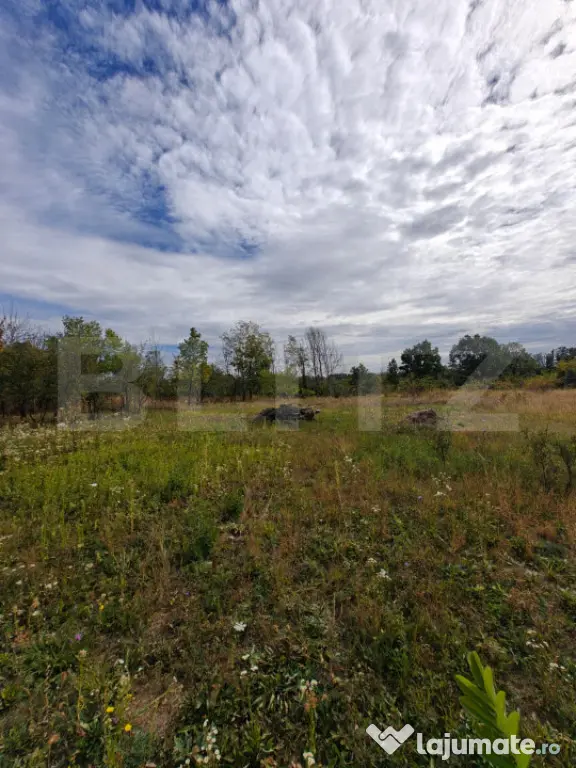 Teren intravilan 2.595 mp | 2 fronturi | Utilități in zona - Mosoaia (Arges)