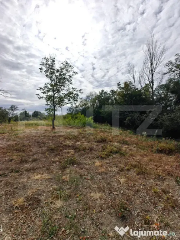 Teren intravilan 2.595 mp | 2 fronturi | Utilități in zona - Mosoaia (Arges)