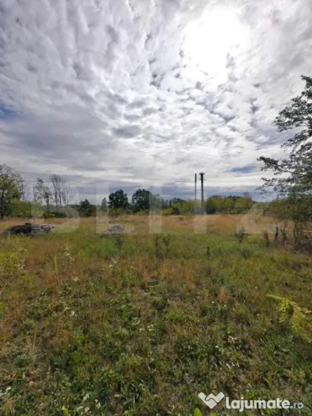 Teren intravilan 2.595 mp | 2 fronturi | Utilități in zona - Mosoaia (Arges)