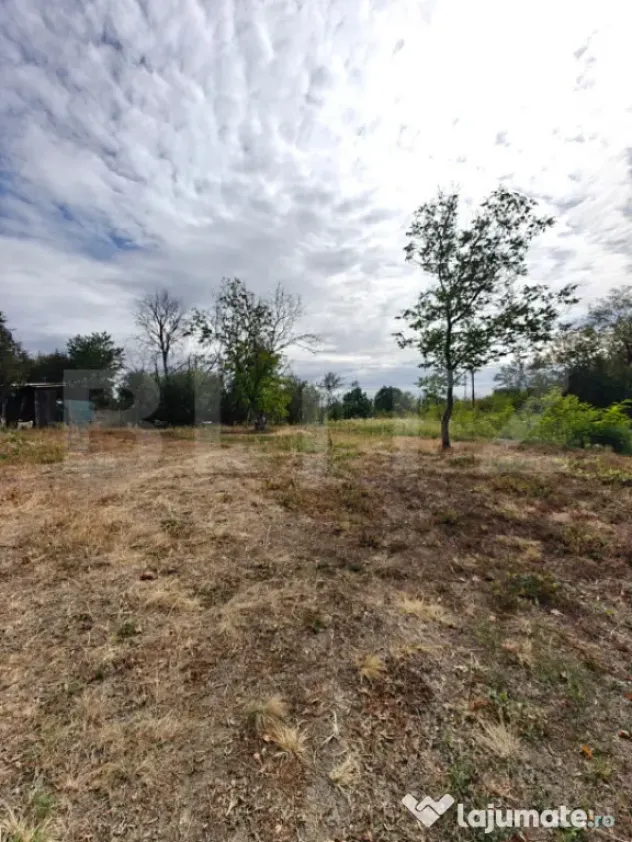 Teren intravilan 2.595 mp | 2 fronturi | Utilități in zona - Mosoaia (Arges)