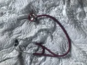 Stetoscop visiniu