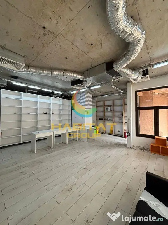 Vanzare spatiu comercial strada Vasile Lascar stradal - Bucuresti (Bucuresti-Ilfov)