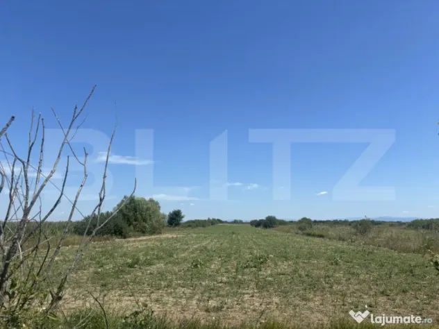 Teren extravilan, 6200 mp, zona Cionchesti - Cionchesti (Satu-Mare)