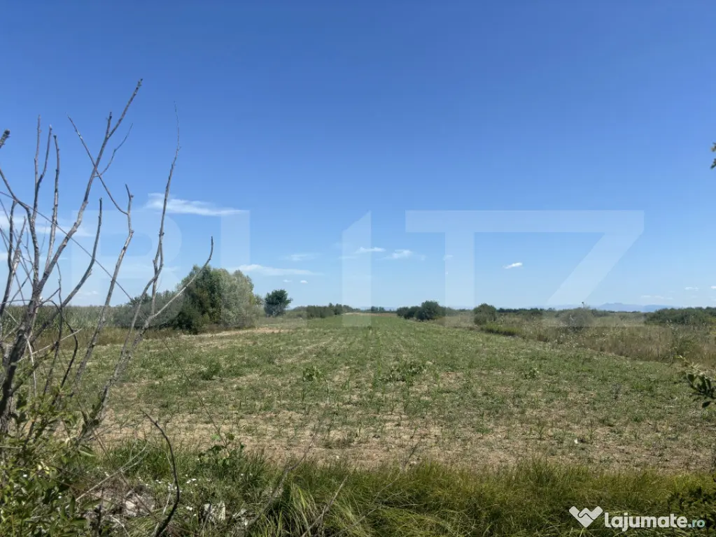 Teren extravilan, 6200 mp, zona Cionchesti - Cionchesti (Satu-Mare)