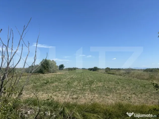 Teren extravilan, 6200 mp, zona Cionchesti - Cionchesti (Satu-Mare)