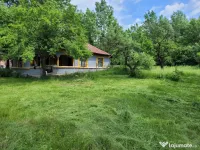 Teren intravilan 3.000 mp cu casă bătrânească – Cătunu, Teleorman