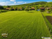 FILM! Casa si anexe, pe domeniu de 6.221mp, livada pomi fru