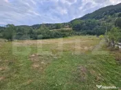 Teren intravilan 7.467 mp, lângă pădure și râu – Pono 
