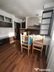 Apartament de inchiriat cu 2 camere, parter, zona Hurmuzachi 