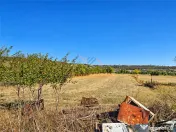 CASA TEREN 5.723 MP | BISTRA – POPESTI | BIHOR 