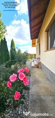 Casa Parter + Pod locuibil, beci, anexe si 1059 mp teren,D-va Rosie