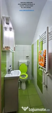 Casa Parter + Pod locuibil, beci, anexe si 1059 mp teren,D-va Rosie