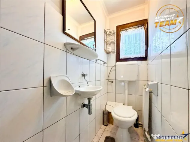 Vila impunatoare cu garaj si anexe, in inima orasului Sfantu - Sfantu Gheorghe (Covasna)