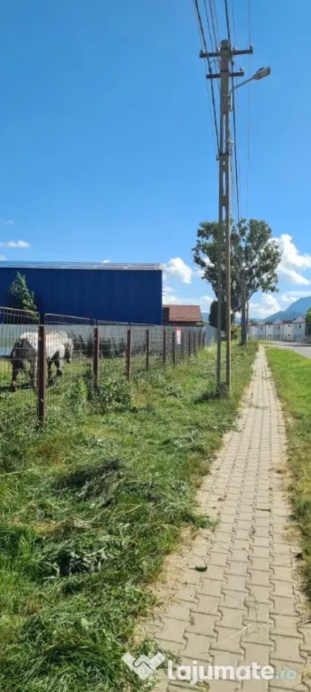 Vând teren intravilan comercial - productie 4400mp - Carpinis (Brasov)