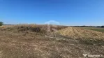 Copăceni - Ilfov - Teren intravilan arabil de vânzare - 1.148 mp