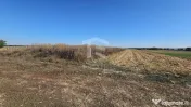 Teren intravilan arabil de vânzare – Copăceni - Ilfov | 1.148 mp 