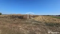 Teren intravilan arabil de vânzare – Copăceni - Ilfov | 1.148 mp