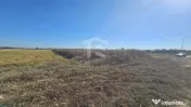 Teren intravilan arabil de vânzare – Copăceni - Ilfov | 1.148 mp 