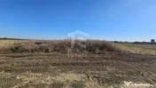 Teren intravilan arabil de vânzare – Copăceni - Ilfov | 1.148 mp 