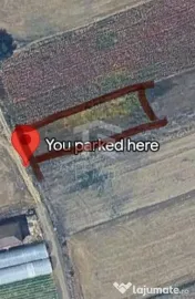 Teren intravilan arabil de vânzare – Copăceni - Ilfov | 1.148 mp 