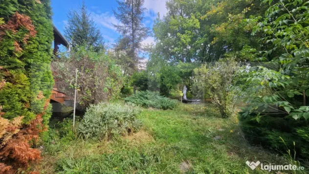 Casa de Vanzare cu teren 2230 mp TArgu Mures- Unirii - Targu Mures (Mures)