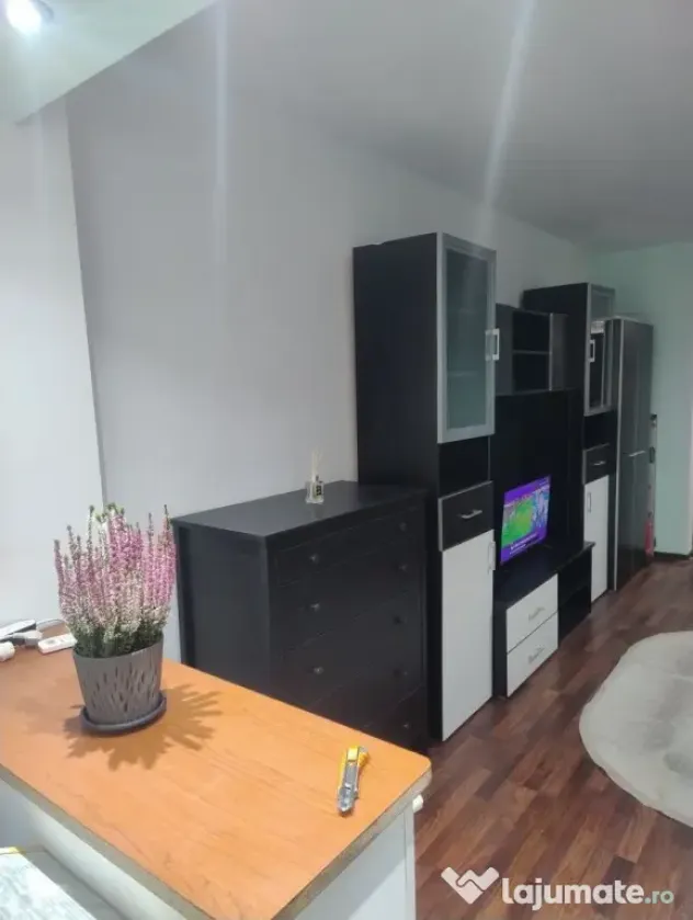 Dristor etaj 2 strada dristorului - Bucuresti (Bucuresti-Ilfov)
