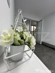 Spațiu comercial 22 mp – zona Cetății | 350euro+ TVA | 