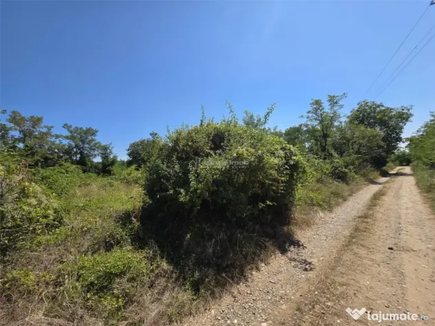 Teren intravilan, 509 mp, deschidere 30 m, com. Vernesti - Vernesti (Buzau)