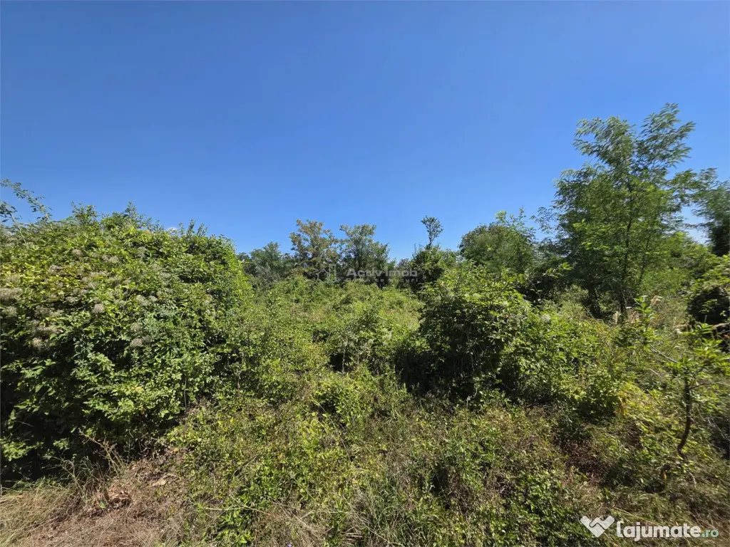 Teren intravilan, 509 mp, deschidere 30 m, com. Vernesti - Vernesti (Buzau)