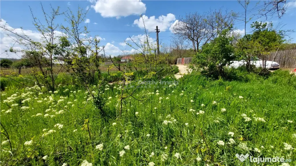 Teren intravilan, 509 mp, deschidere 30 m, com. Vernesti - Vernesti (Buzau)