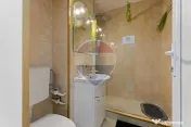 Apartament cu 1 camera de închiriat în zona Banu Maracine 
