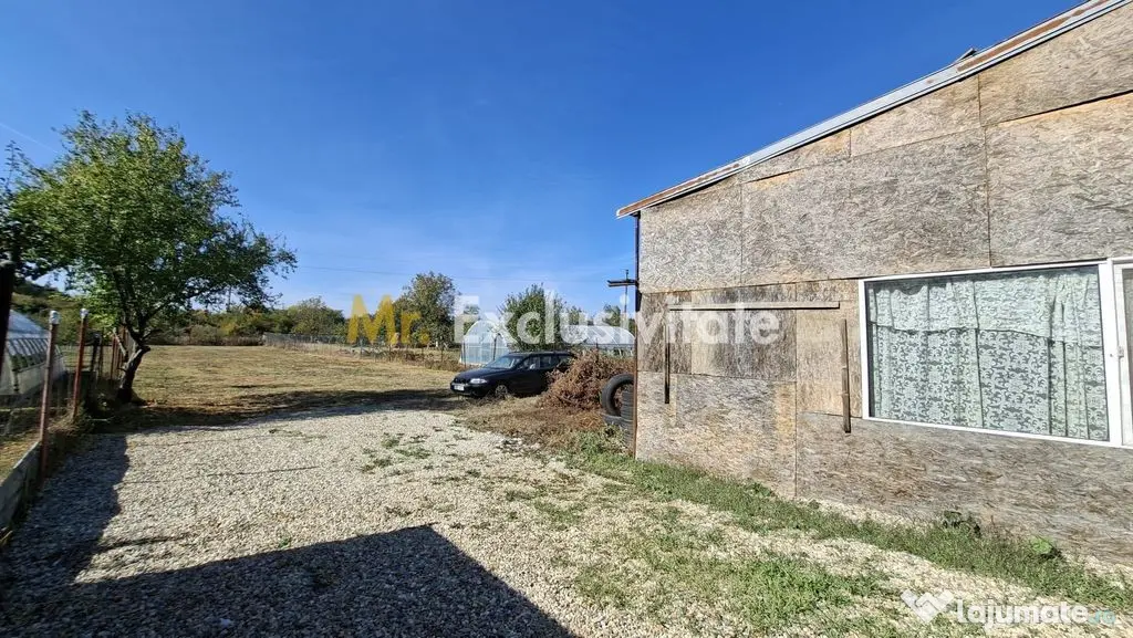 Vanzare Casa P+1E Bananai-Prundu teren 1363 mp - Pitesti (Arges)