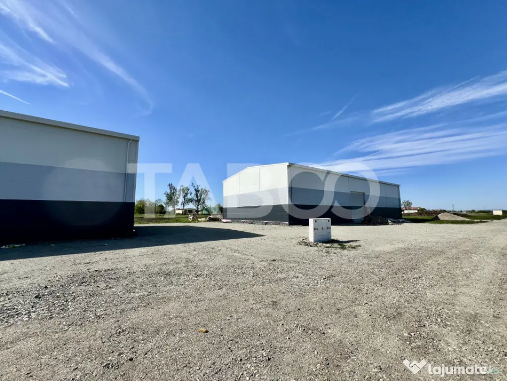 Hala industriala de inchiriat 528 mp utili zona Vest a Sibiu - Sibiu (Sibiu)