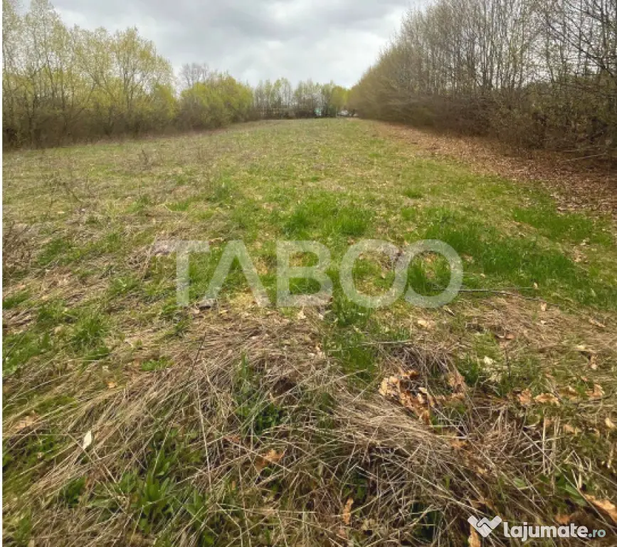 Teren intravilan pentru casa zona linistita 550 mp front 21 - Cisnadie (Sibiu)
