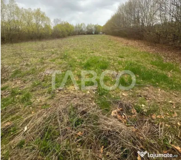 Teren intravilan pentru casa zona linistita 550 mp front 21 - Cisnadie (Sibiu)
