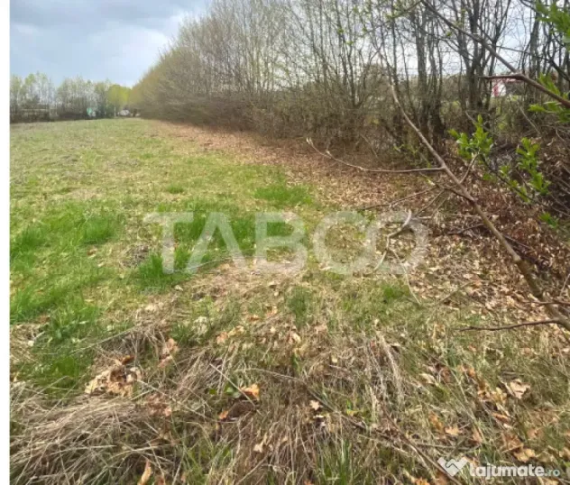 Teren intravilan pentru casa zona linistita 550 mp front 21 - Cisnadie (Sibiu)
